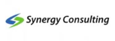 synergy consulting ifa middle east